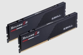 G.SKILL F5-6000J3040F16GX2-RS5K 32GB (2 x 16GB)/ DDR5 6000 MT/s/ XMP 3.0/Timings 30-40-40-96/ Voltage 1.35V/ Ripjaws S5 F5-6000J3040F16GX2-RS5K