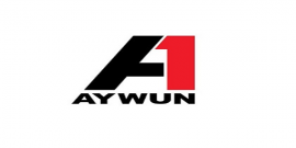 Aywun SQ05v2 4PIN EPS to 8PIN EPS Cable - for CAA1-SQ05-300W-V2 SQ05 EPS Cable